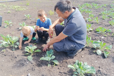 В Кузбассе стартовала программа «Семейное агропредпринимательство»