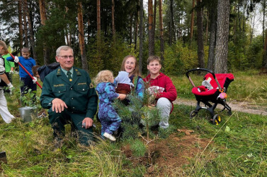 5-миллионное дерево посадили семьи участники Всероссийской акции «Сохраним лес» в Ивановской области