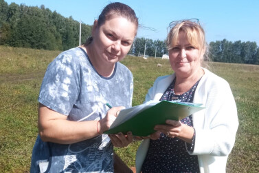 В Пронском районе три многодетные семьи получили бесплатные земельные участки