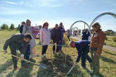 Аллея крепких семей Татарстана начинается в Камском Устье 