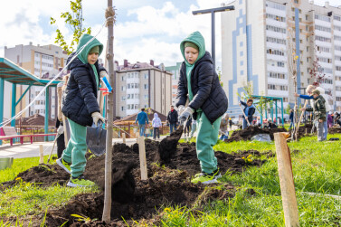 Фамильные деревья