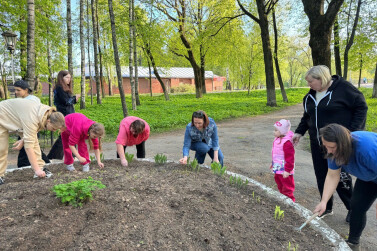 Цветы жизни посадили цветы