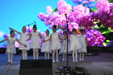 Сиреневая ночь в Ивановке