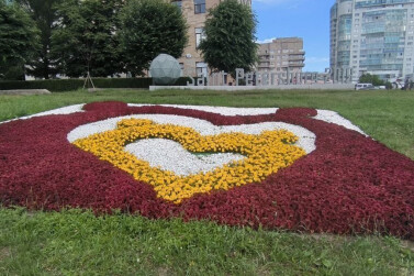 В Петербурге высадят цветочные композиции, посвященные Году семьи