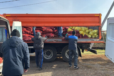В Кузбассе 9 326 семей получили бесплатные овощные наборы