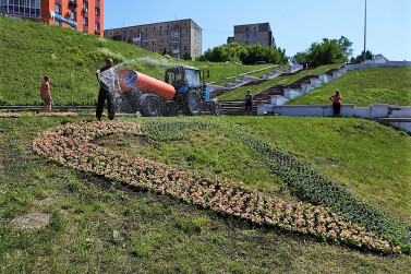 В Кузбассе высадили цветочную композицию в виде сердца —  символа Года семьи