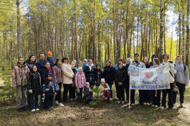 Ивановские многодетные семьи высадили Сад памяти