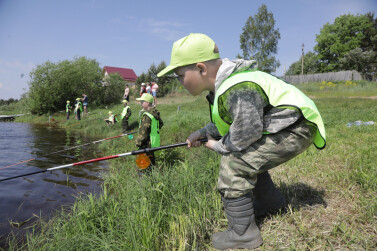 Ловись, рыбка 