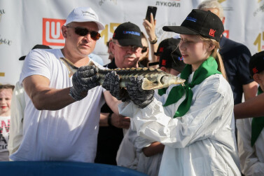 Ловись, рыбка