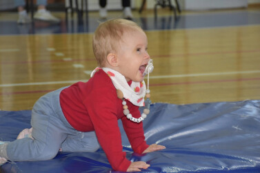 Чемпионат ползунков 