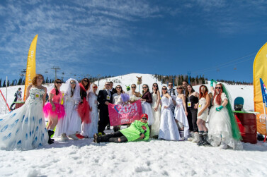 Свадьба на высоте: впервые в России торжественная регистрация брака прошла в горах