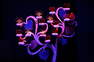 Семья Камчатки