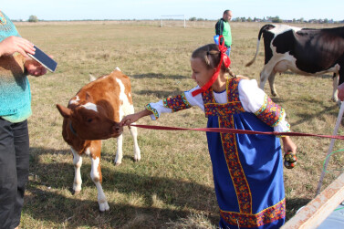 «За Окой пасутся ко…»
