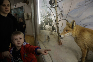 Музей. История. Семья