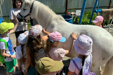 В Самарской области иппотерапия помогает ребятам поправить здоровье