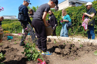 Семейный мини-сад