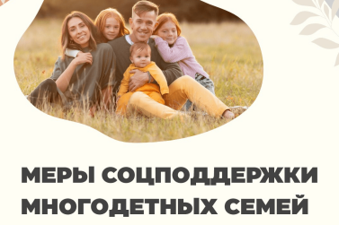 Помощь рязанским многодетным семьям