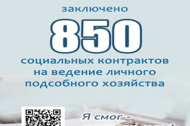 В Рязанской области заключено 850 социальных контрактов на ведение личного подсобного хозяйства