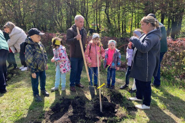 В Ульяновске открыли первый фруктовый сад