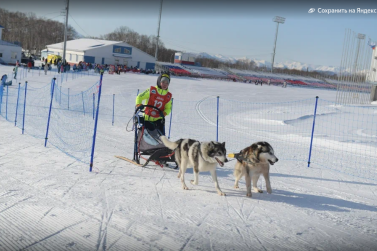 «Дюлин – 2024»: детская гонка на собачьих упряжках 