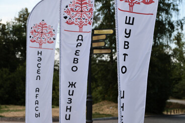 Древо жизни