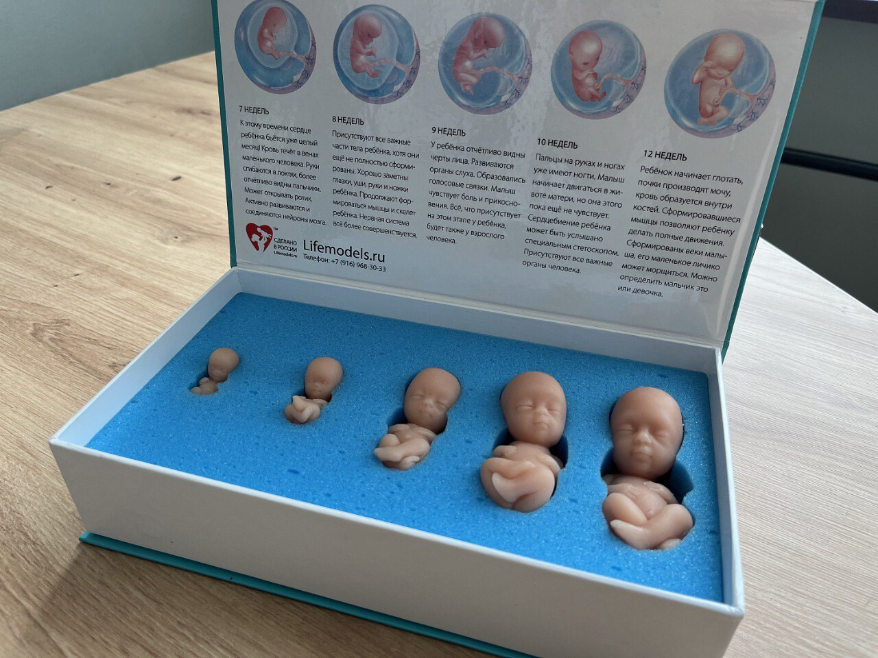 В Калининграде сделать правильный выбор помогает специальная служба