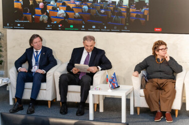  Союз семей России - партнер государства в реализации семейной политики