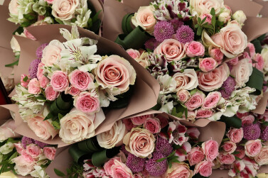 Губернатор Александр Моор вручил награды многодетным родителям